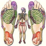 reflexologia-podal-en-donostia-mapa-pie